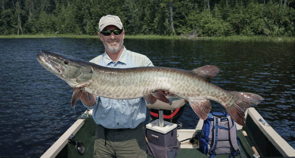 AFF - New Blog 18_ Fly Fishing for Muskie With Gear, Tips, and Proven Moves