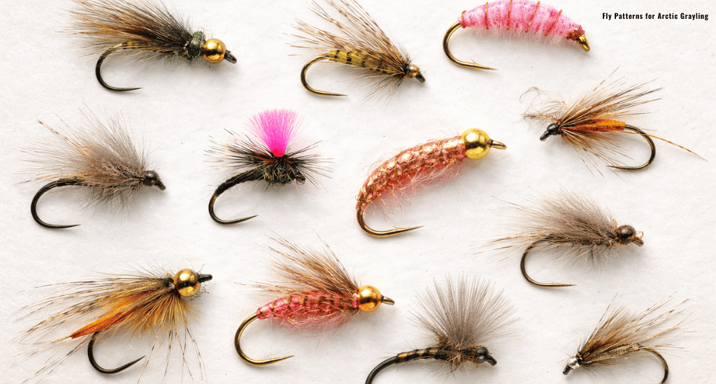  Fly Patterns for Arctic Grayling
