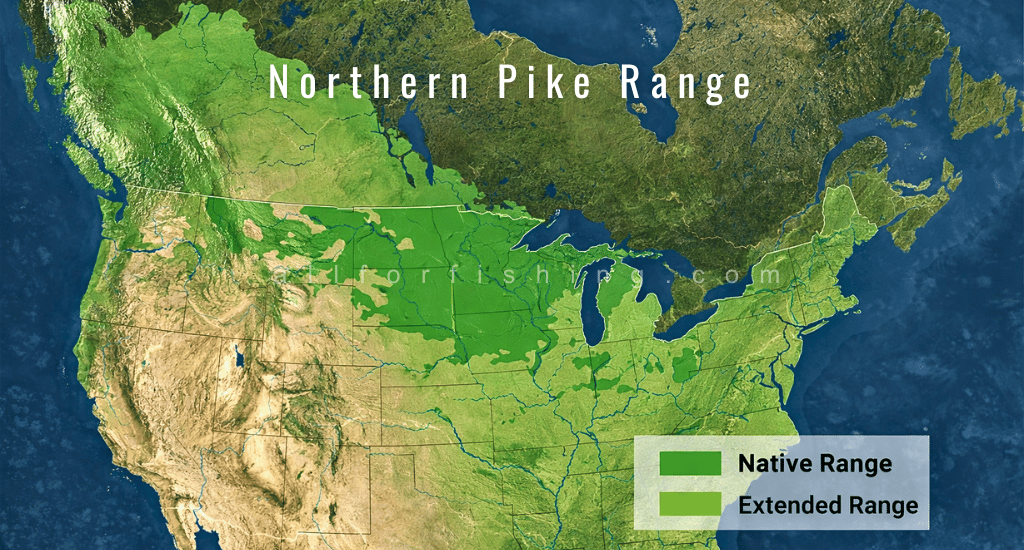 Location-Specific Pike Fly Fishing