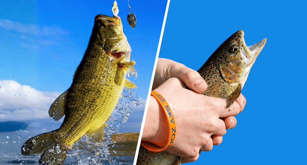 Bass Is Different From Trout