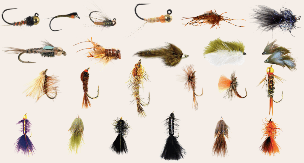 Best Flies for Fly Fishing the Truckee River