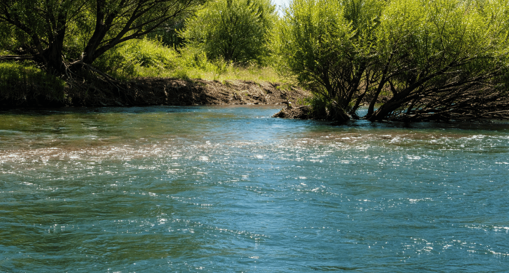 Choosing the right water