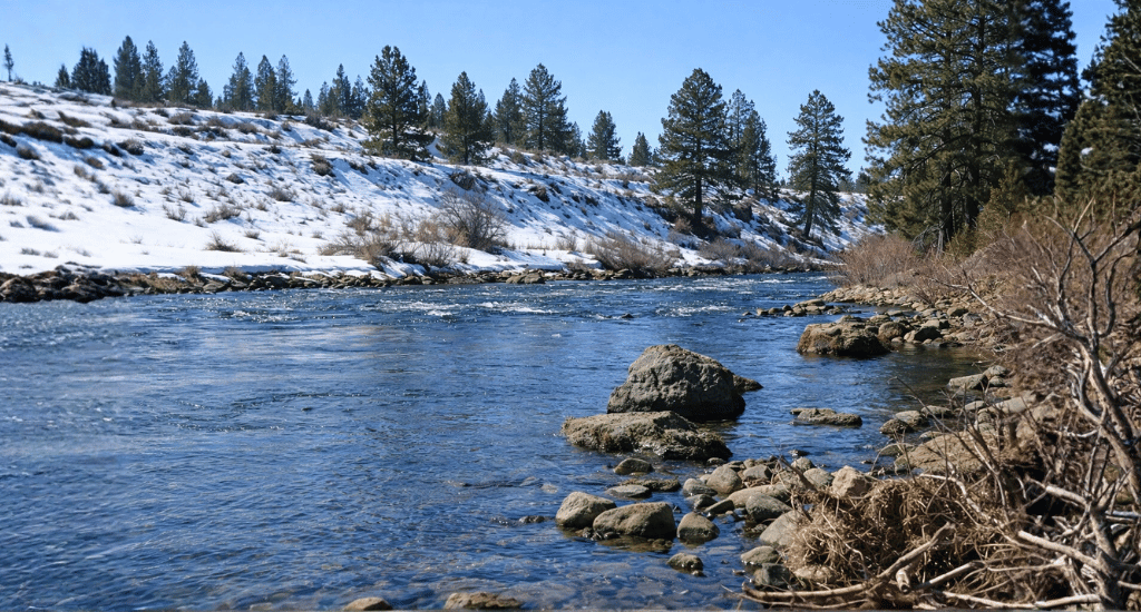 Truckee River’s Character