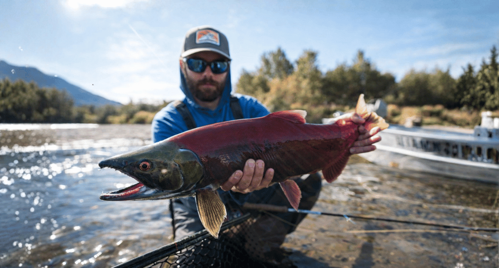 fly fishing for sockeye