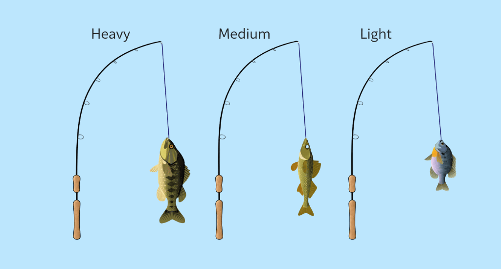 Think About Fish Size