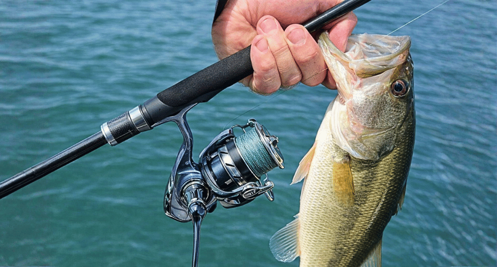 reel-size-for-bass-fishing