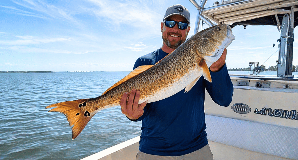 targeting-larger-fish-(snook-redfish-trout)