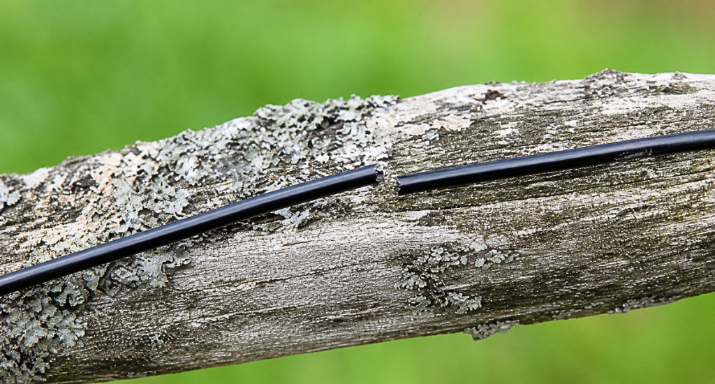 A black cable is severed into two pieces, resting horizontally against the rough, lichen-covered bark of a fallen tree branch with a blurred green background.