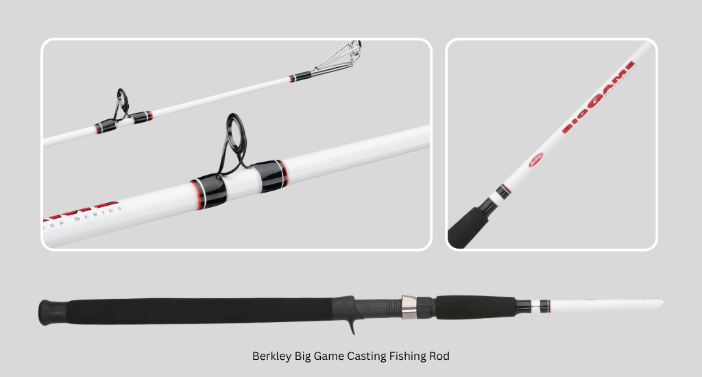 best fishing pole for fluke 5 Best Rods for Fluke Fishing That Handle Hard Fights